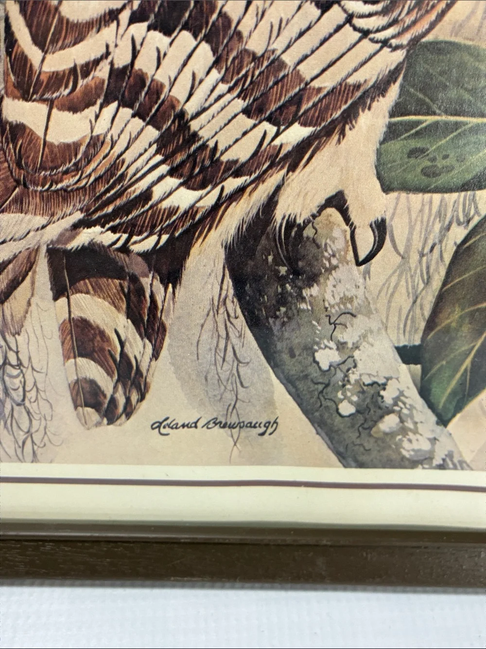 Vintage Leland Brewsaugh Framed Owl Prints Set of 3 Coottagecore Home Decor